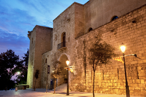 Palma de Mallorca: entrada al palacio de la AlmudainaPalma de Mallorca: Entrada al Palacio de la Almudaina