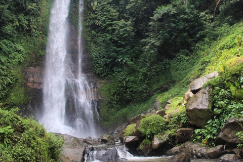 Bali: Mount Batur Sunrise Trekking & Sekumpul Waterfall