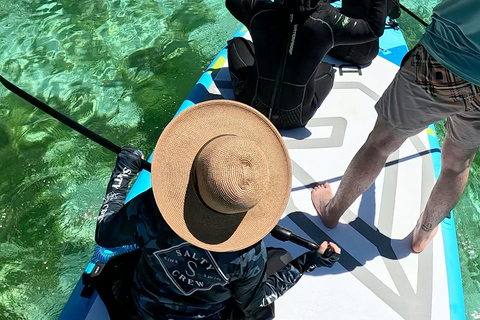 La Paz: Sea Lions & Mega-Paddleboard Tour in Espiritu Santo