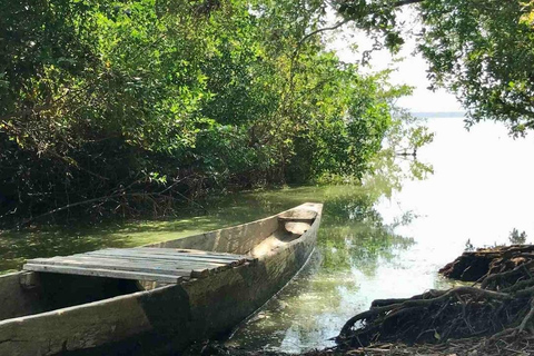 Cartagena Mangrove Tour