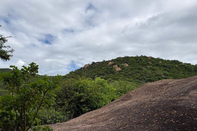 Maputo: Mkhuzweni Rock Art Site Day Tour