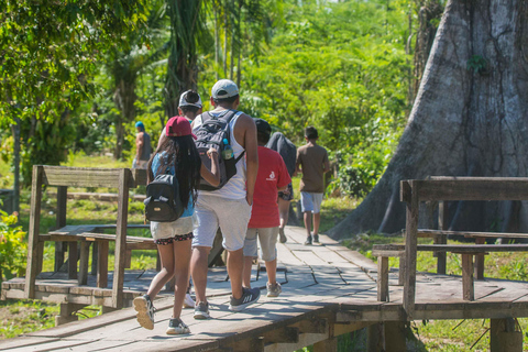 Depuis Puerto Maldonado : Circuit de 2 jours dans la réserve nationale de Tambopata