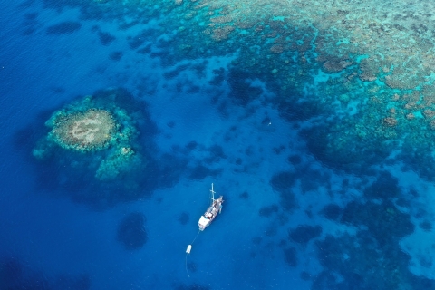 Cairns: Excursión de 2 días en barco para bucear y hacer snorkel en la Gran Barrera de Coral1 Pasajero en Camarote Compartido