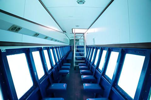 Experimenta el Emocionante Mundo Submarino del CaribeDescubre el pecio y nada con las tortugas y los peces tropicales