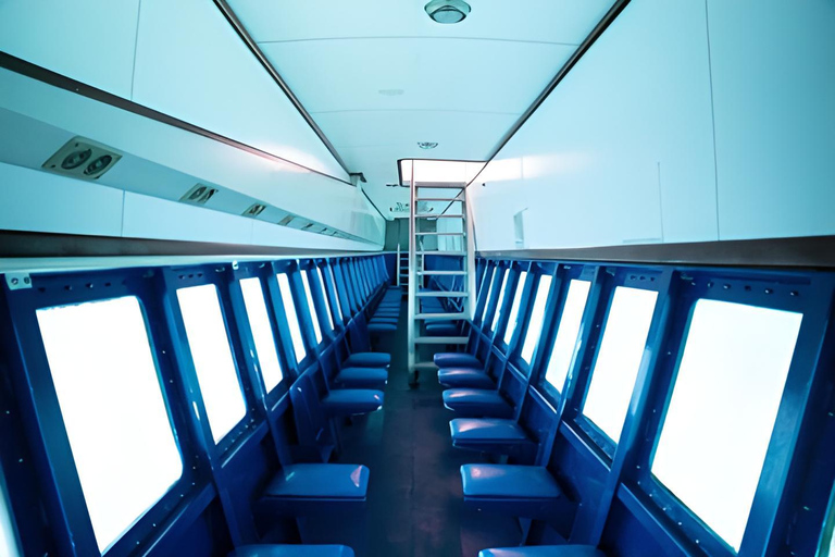 Experimenta el Emocionante Mundo Submarino del CaribeDescubre el pecio y nada con las tortugas y los peces tropicales