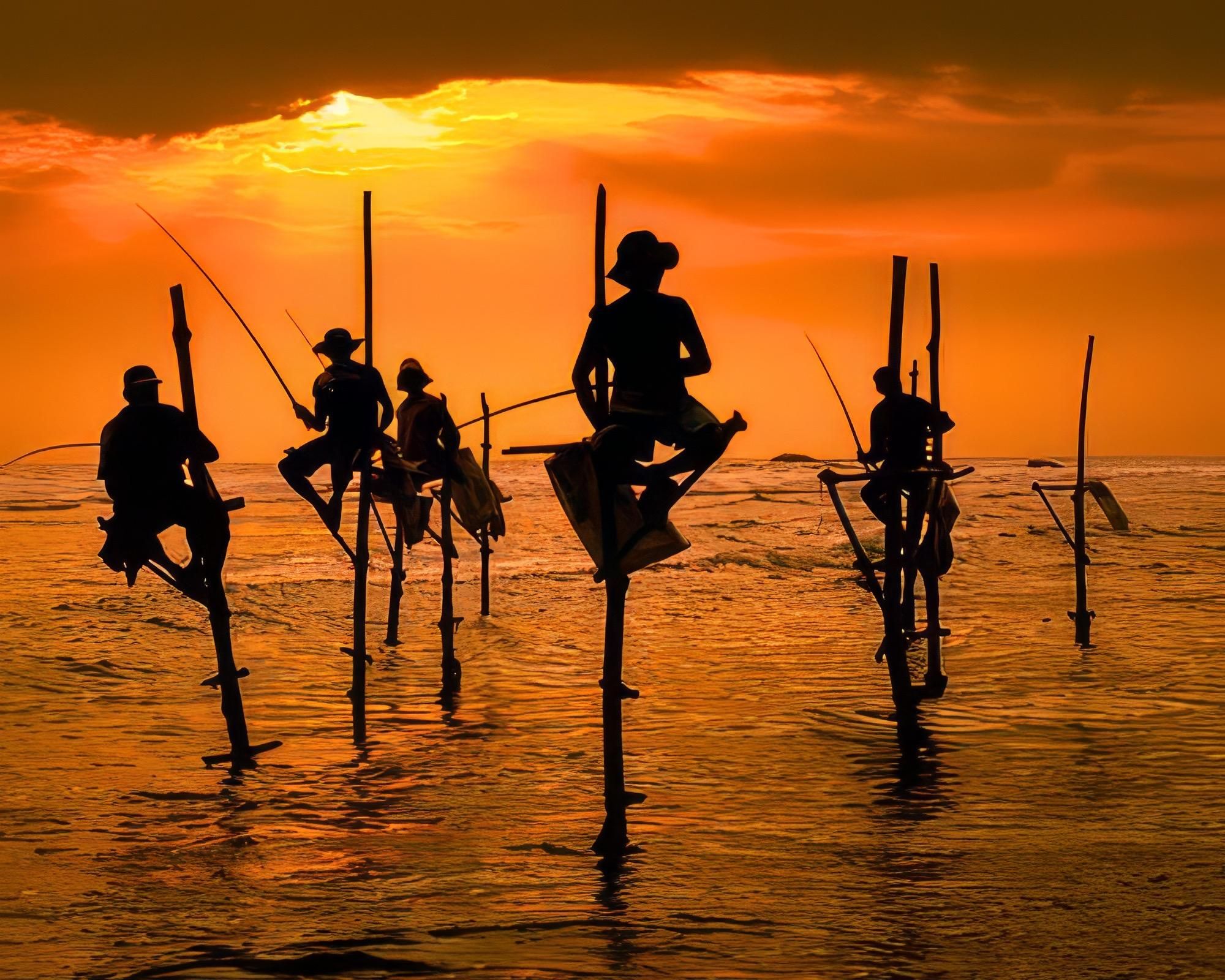 Von Colombo aus: Galle & Mirissa – private All-inclusive-Tagestour