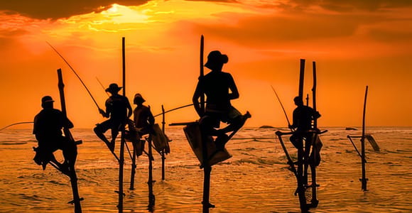 Von Colombo aus: Galle & Mirissa – private All-inclusive-Tagestour