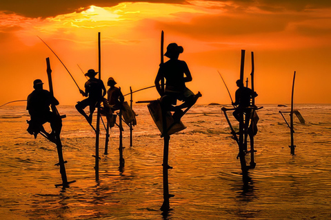 Desde Colombo: tour privado de un día con todo incluido a Galle y Mirissa.Galle: tour privado de un día por la costa sur con snorkel