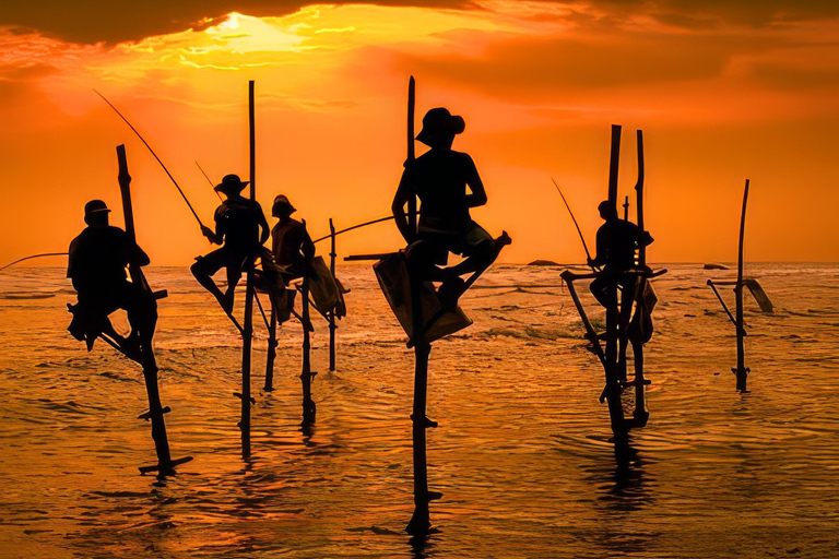 Da Colombo: tour privato all-inclusive di un giorno a Galle e MirissaGalle: tour privato di un giorno lungo la costa meridionale con snorkeling