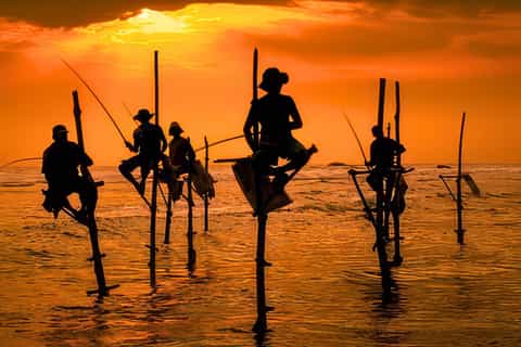 Koggala Lake freshwater lagoon Cinnamon Island stilt fishermen birdlife boat tour west from Weligama south coast Sri Lanka