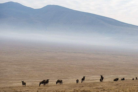 Arusha: 6-Day Tanzanian Nature Walk and Wildness Adventure