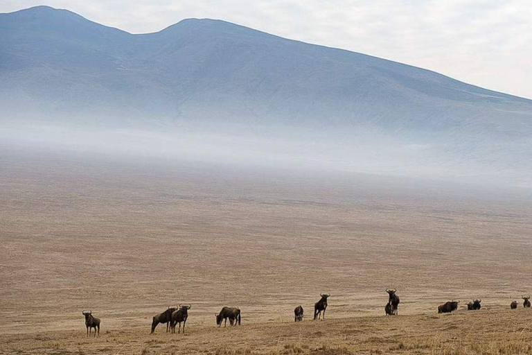 Arusha: 6-Day Tanzanian Nature Walk and Wildness Adventure