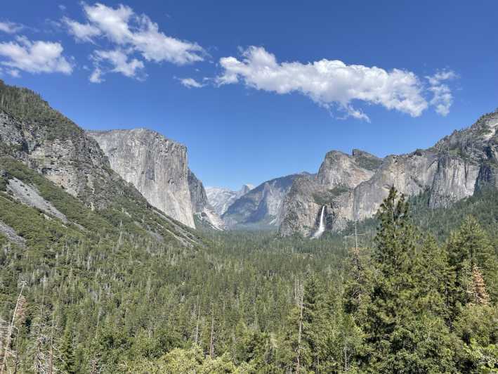 Yosemite privato, sequoie giganti, da San Francisco