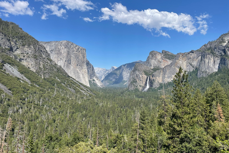 Yosemite, Séquoias géants, visite privée depuis San FranciscoYosemite privé, séquoias géants, depuis San Francisco