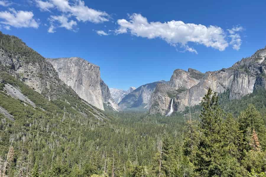 Yosemite, Giant Sequoias, Private Tour ab San Francisco. Foto: GetYourGuide