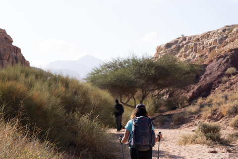 Petra to Wadi Rum Hiking Tour (7 Days) | All-Inclusive