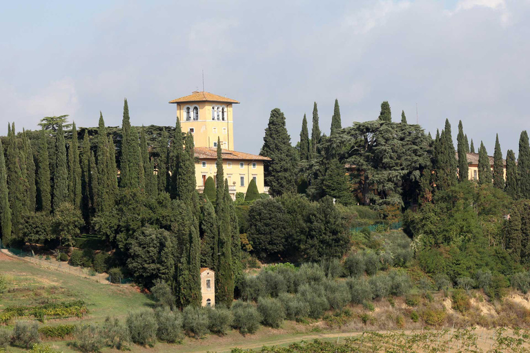 3 Dagen Toscane Privétour