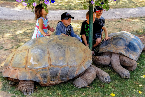 Zanzibar: Red Monkeys Forest Tour, Butterfly & Reptile Park. This option, No Hotel Pickup.