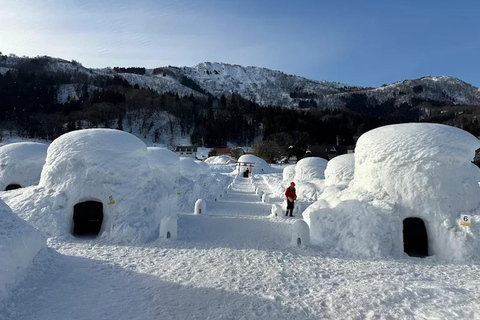 Tokyo: Nagano Private Tour with Igloo Village & snow Monkeys