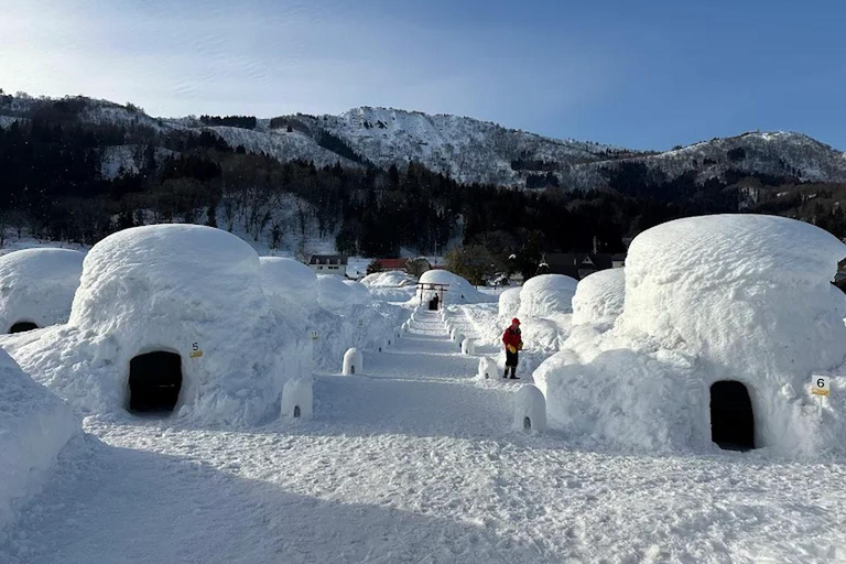 Tokyo: Nagano Private Tour with Igloo Village & snow Monkeys