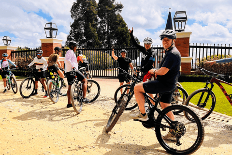 Medellín: Mountain Biking in the Clouds – Silletera Route and Cloud Forests