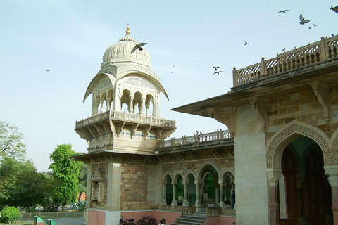 Jaipur: Albert Hall Museum Guided Walking Tour