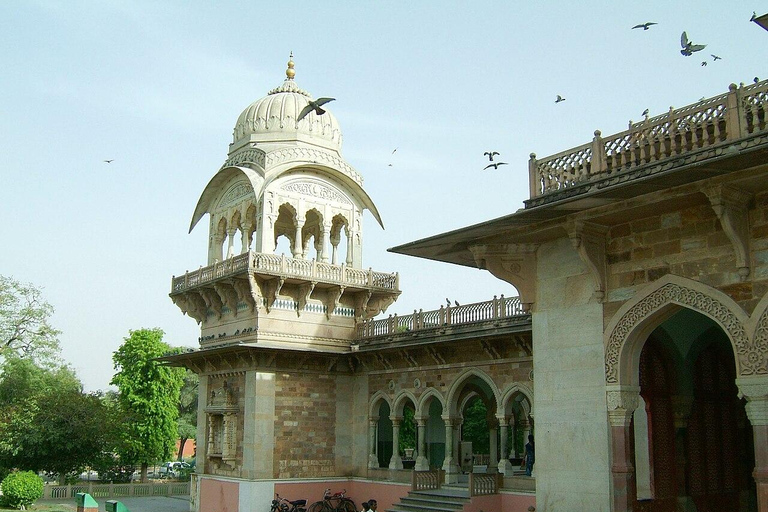 Jaipur: Albert Hall Museum Guided Walking Tour