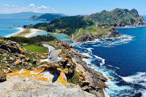 From Santiago: Day Excursion to Cies Islands with Ferry Ride