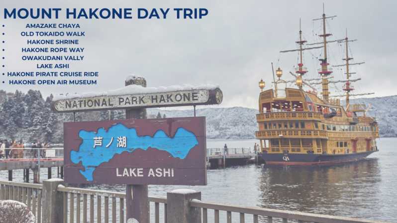 Tokyo: Escursione di un'intera giornata sul Monte Hakone, incluso il pass per il viaggio