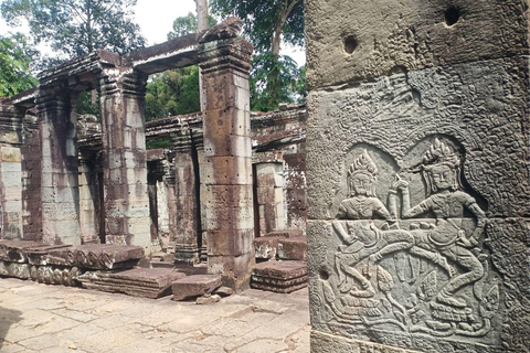 Siem Reap: tour guidato di 4 ore a Ta Prohm e Banteay Kdei