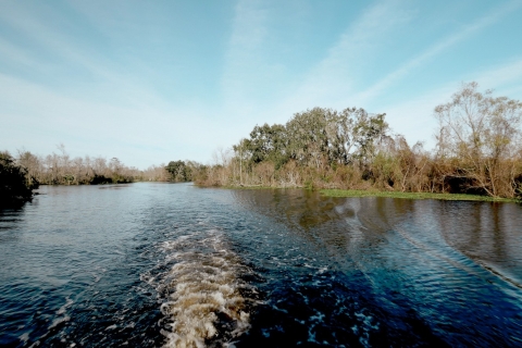 Nueva Orleans: hidrodeslizador de alta velocidad de 16 paxAutoconducción hasta el punto de encuentro