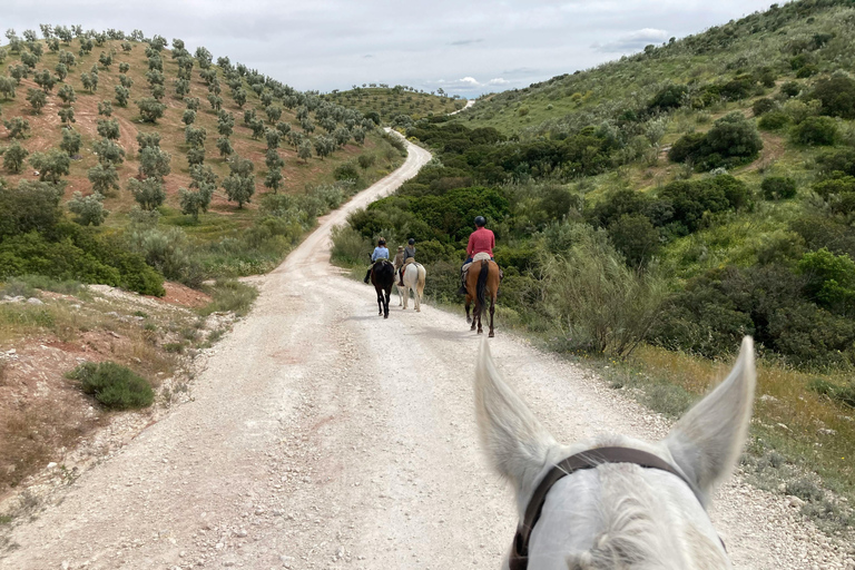 Ronda: Andalusian Countryside Horseback Riding Tour