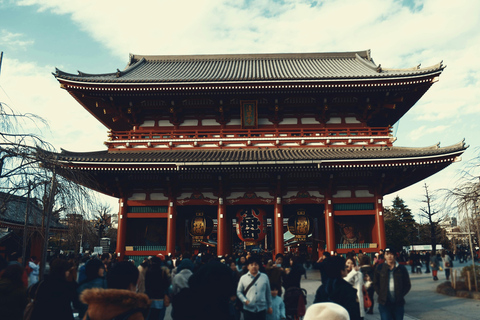 Tour privado de Tokio en coche con chófer de habla inglesa