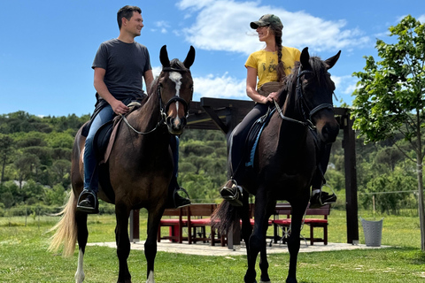 Dubrovnik: Horse Riding with local guide - beginner friendly