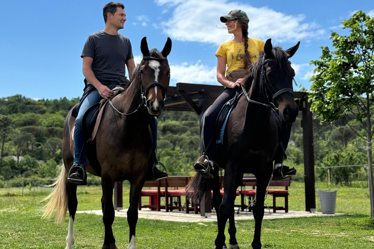 Dubrovnik: Horse Riding with local guide - beginner friendly