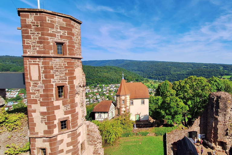 Heidelberg: Neckar River, Cave, Odenwald – Active Highlights Discovery Tour