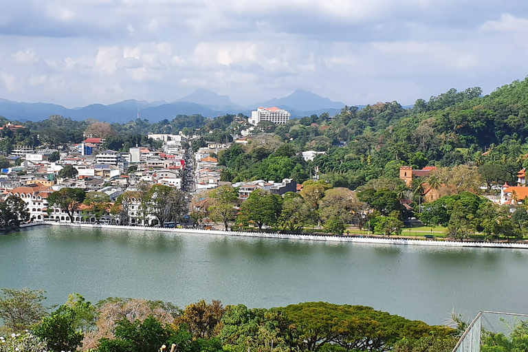 De Colombo a Kandy, viagem de 1 dia em transporte particular