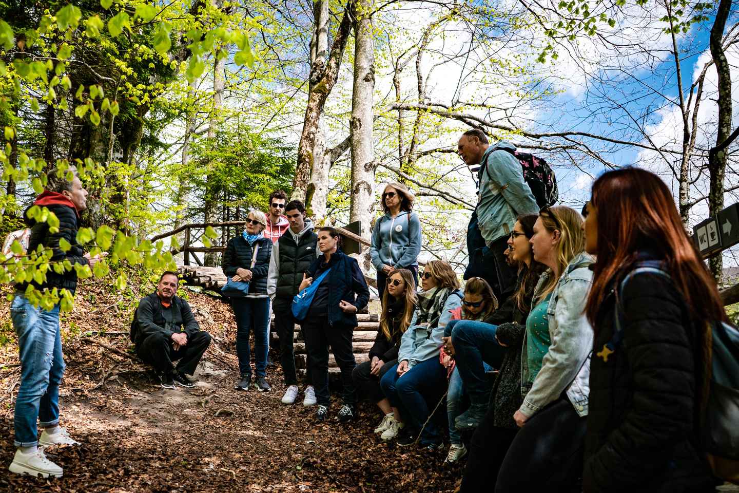 From Zagreb: Plitvice Lakes National Park Full-Day Tour