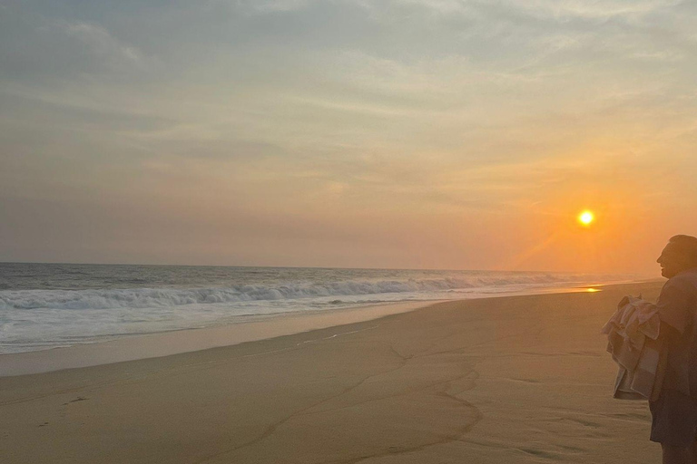 Z Huatulco: doświadczenie wypuszczania małych żółwi morskichZ Huatulco: wypuszczenie małych żółwi morskich