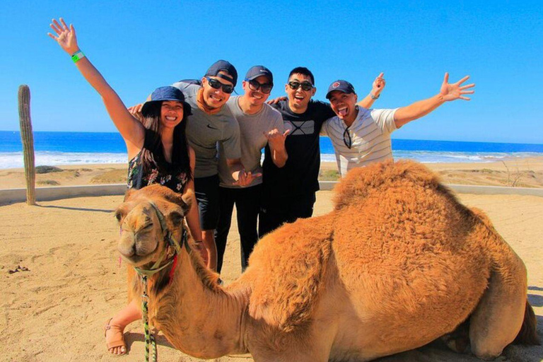 Private Day Trip to Tangier from Tarifa or Algeciras