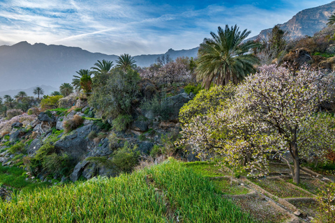 Percorso storia e natura - Villaggio di Nakhal e Wakan