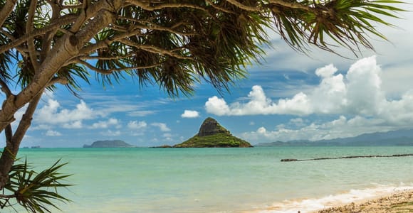 Oahu: Private Custom Island Tour