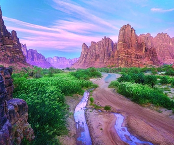 Ganztagestour Eine Tour durch das Wadi Al Disa