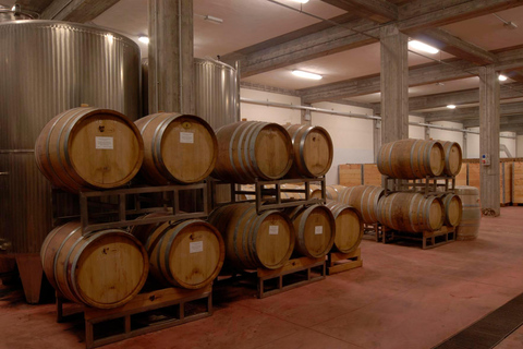 Wine Tasting at a Mount Etna Vineyard from Taormina Let's go! Wine tasting at a vineyard on Mount Etna from Taormina