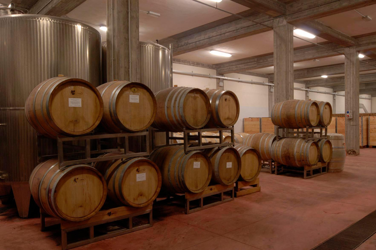 Wine Tasting at a Mount Etna Vineyard from Taormina Let's go! Wine tasting at a vineyard on Mount Etna from Taormina