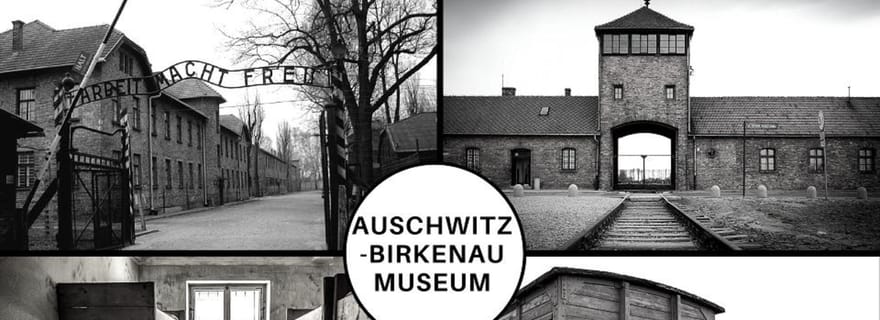 Auschwitz-Birkenau : billet d'entrée au musée avec visite guidée