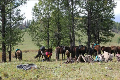 Ulaanbaatar: 2-Day Nomadic Life Experience. Live like local