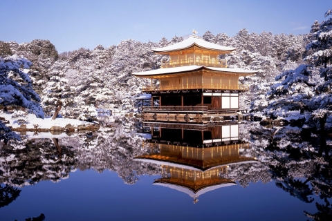 Desde Kioto: Excursión de un día con guía a Kioto y Nara con almuerzoTour con almuerzo buffet horario 2024