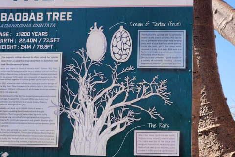 Victoria Falls: Guided Tour, Bridge, & Big Tree Visit