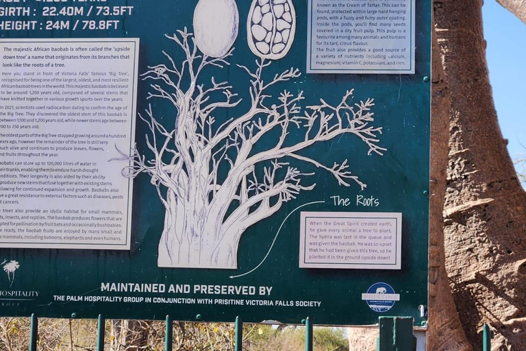 Victoria Falls: Guided Tour, Bridge, & Big Tree Visit